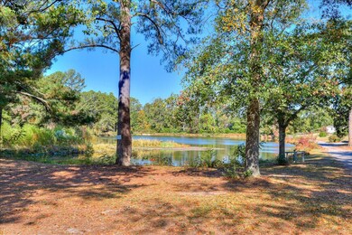 Pond across street