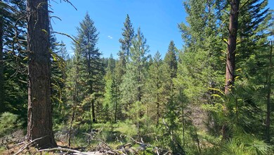 1451 and 1455 Crown Point Pkwy, Cascade, ID 83611 - photo 7