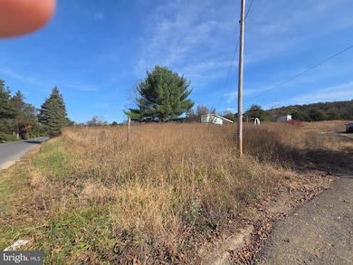 2500 Beaver Run Rd, Burlington, WV 26710 - photo 5