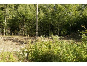 18-J Crescent Rd, Bow, NH 03304 - photo 6