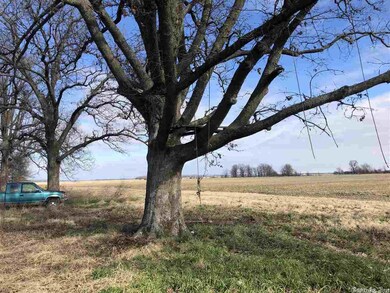 10922 Highway 14 E, Weiner, AR 72479 - photo 3