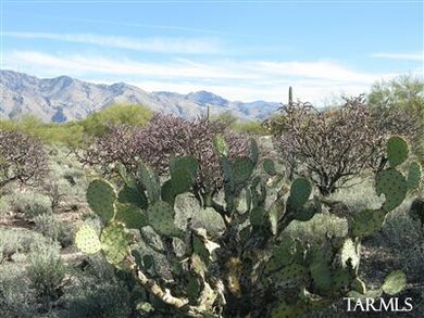 Panorama 3 of Catalina Mtns.