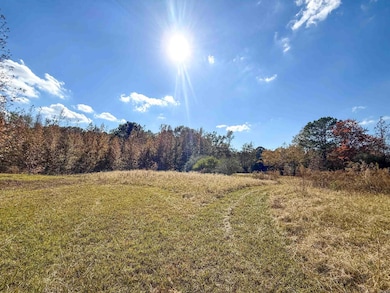 13 Grant County Road 455, Prattsville, AR 72129 - photo 7