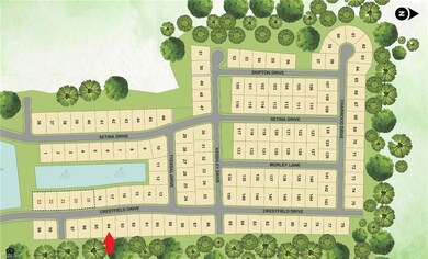 Home backs up to mature tree line