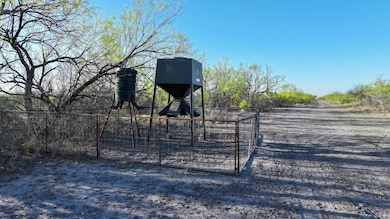 12355 Texas 131, Brackettville, TX 78832 - photo 6