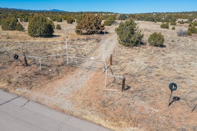 755 Juan Tomas Rd, Tijeras, NM 87059 - photo 2