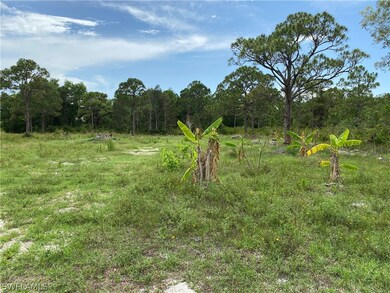 11891 Oscoda Ct, Pine Island Center, FL 33922 - photo 2