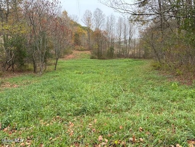 L24.1 Darfler Ln, Granville, NY 12832 - photo 3