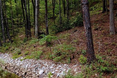 Shoreline stabilization in place.