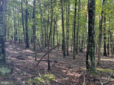 265 Balmoral Ln, Gainesboro, VA 22603 - photo 3