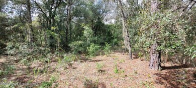 Lot Interior