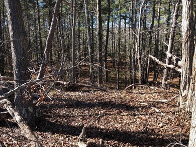 00 S Independence Dr, Montross, VA 22520 - photo 4