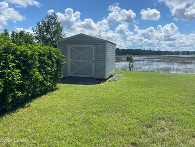 Back yard and shed