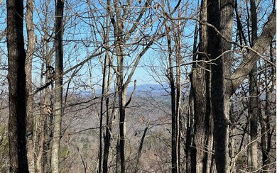 1089 Mayfield Ln NE, Ranger, GA 30734 - photo 2