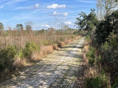 0 Easler Hwy unit 25756516, Greeleyville, SC 29056 - photo 7