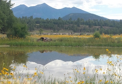 6812 W Soggy Bottom Ranch Rd, Flagstaff, AZ 86001 - photo 2
