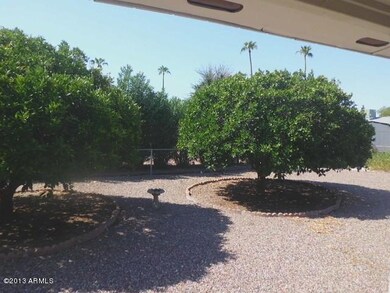 back yard 2