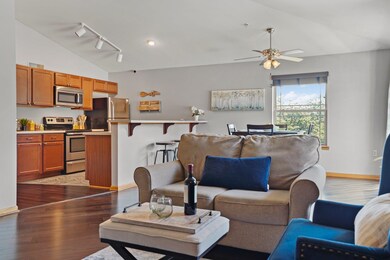 2832 Pleasant View Rd unit 202, Middleton, WI 53562 - photo 4