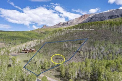 Aerial Map with Homesite and Driveway En