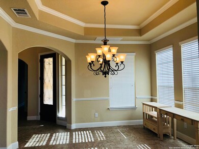 25902 Kidneywood, San Antonio, TX 78261 - photo 5