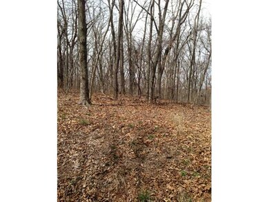 -- Pimlico Dr, Bella Vista, AR 72715 - photo 4