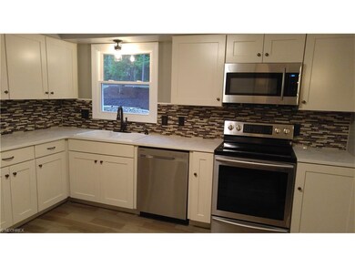 New solid wood shacker cabinets, quartz counter to