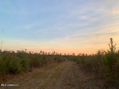 1906 Wildwood Ln SE, Ruth, MS 39662 - photo 6