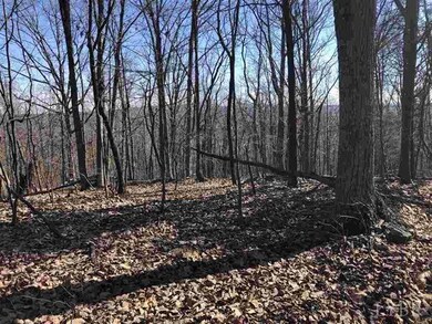 0 Norwood Rd unit 323358, Norwood, VA 24581 - photo 4