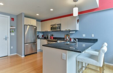 Sierra & Tango Condominiums unit 503, Cambridge, MA 02141 - photo 7