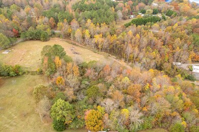 470 County Road 212, Bremen, AL 35033 - photo 5