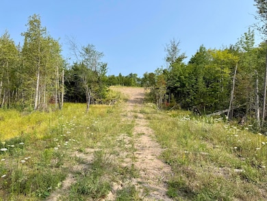 1078 General Leroy Manor Rd, Dannemora, NY 12929 - photo 3