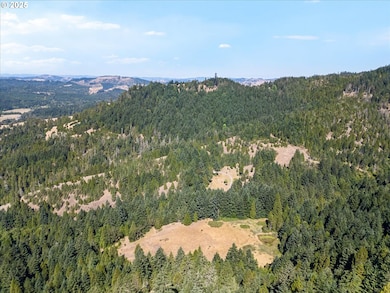 1070 Mystic Mountain Ln, Glide, OR 97443 - photo 5