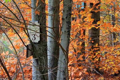 134 S Peak Rd unit 3, Lincoln, NH 03251 - photo 6