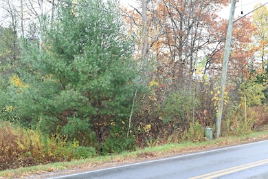 0.0 Stafford Rd, Plattsburgh, NY 12901 - photo 4