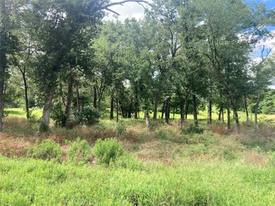 0000 Pvt Rd 5209, Cross Roads, TX 75751 - photo 3