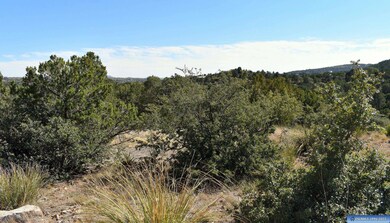 Lot 12 Hereford Dr, Silver City, NM 88061 - photo 2