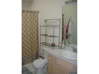 Master Bathroom with vaulted ceiling & skylight.