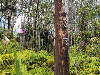 0 Apuakehau Rd unit 720046, Volcano, HI 96785 - photo 2