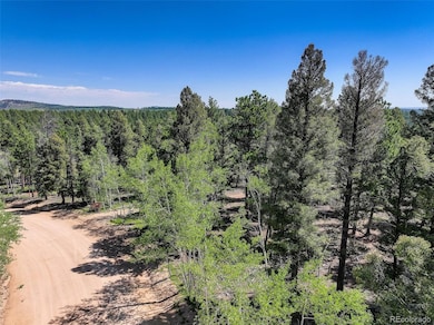 1002 Indian Creek Rd unit R0011770, Florissant, CO 80816 - photo 4