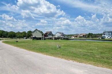 85 Cypress Bend, Huntsville, TX 77340 - photo 4