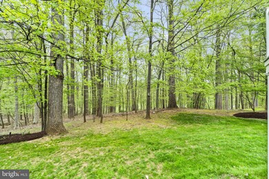 9613 Eagle Ridge Dr, Bethesda, MD 20817 - photo 2