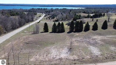 00 Palaestrum Rd, Whitewater Township, MI 49690 - photo 4