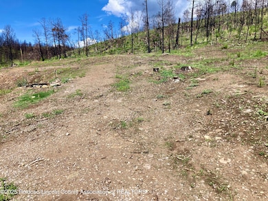 200 Alpine Village Rd, Ruidoso, NM 88345 - photo 6