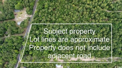 Parcel G S Island Rd, Georgetown, SC 29440 - photo 4