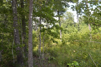 Mostly wooded, but there is a section of open land.