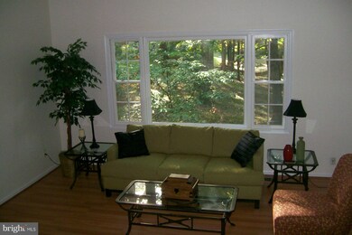 5914 Prince James Dr unit 76, Springfield, VA 22152 - photo 4