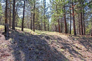 0 Saddleback Dr, Bend, OR 97703 - photo 6