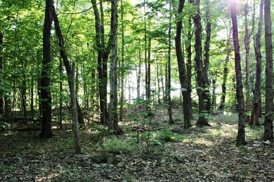 0 Old Stage Rd unit 73118454, Ashfield, MA 01330 - photo 5