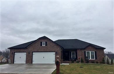 312 Sleeping Indian Dr, Freeburg, IL 62243 - photo 2