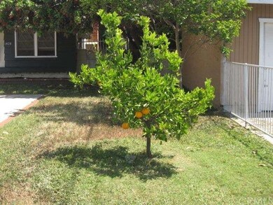 Fruit Tree in Side Yard